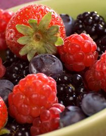 Psoriasis Nutrition Psoriasis Nutrition