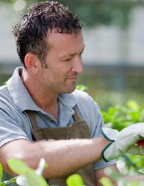 Preventing Skin Injuries Preventing Skin Injuries