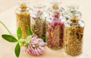 Herbal Remedy for Psoriasis