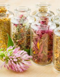 A Herbalist’s Formula A Herbalist’s Formula