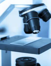 New Psoriasis Drug Research New Psoriasis Drug Research