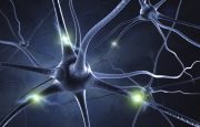 Hormones and Psoriasis